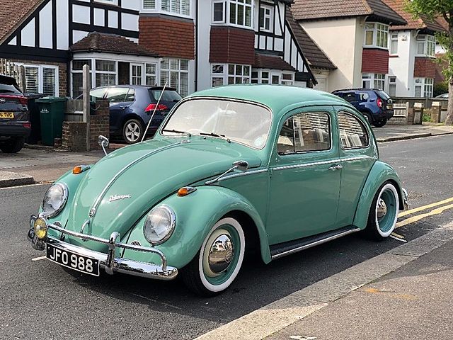 First type of transportation