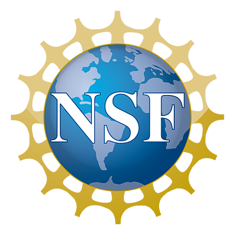 La (NCS) desarrolló la primera red para toda la comunidad de enseñanza integrada con ARPANET, la NFSNET.