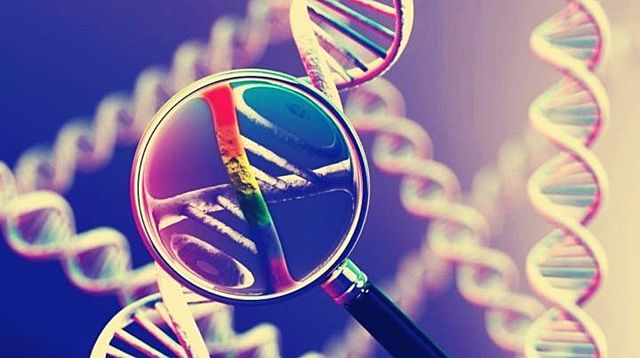 Entra en el escenario el gen