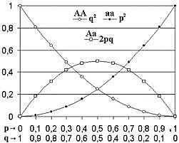 Ley de Hardy-Weinberg