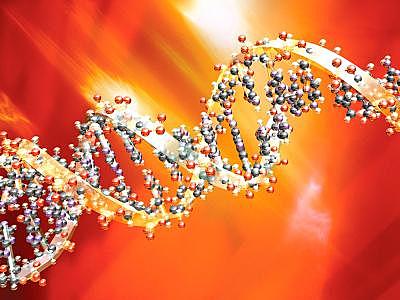 Descubrimiento de la estructura del ADN por James Watson