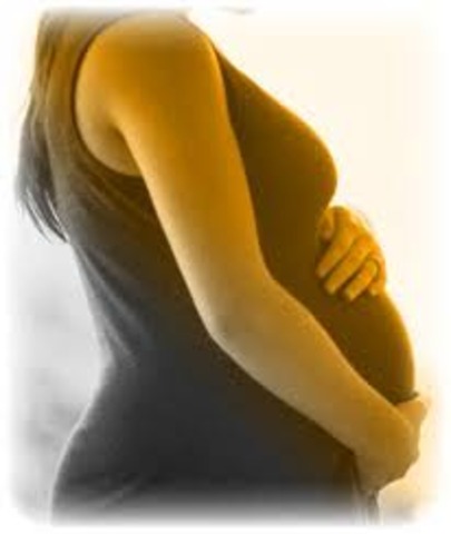Prenatal Development & Birth