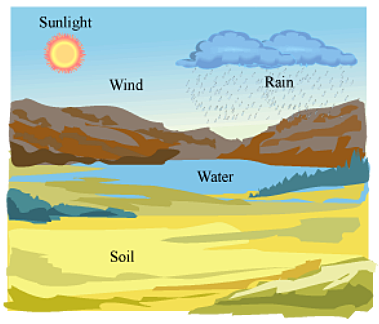 Abiotic Factors of the Ecosystem