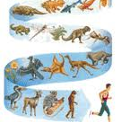 Timeline: Geokronoloogiline skaala Aigar-August G2R2