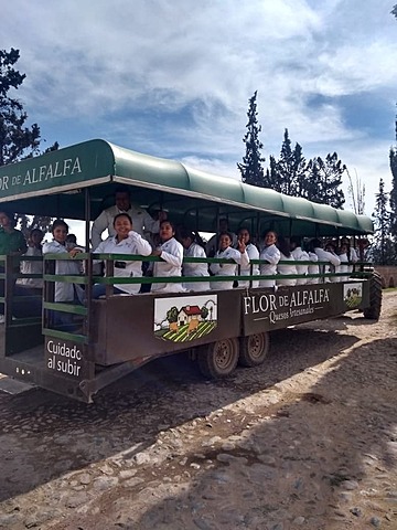 Visita a Flor de Alfalfa