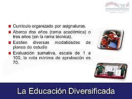 Instituciones diversificadas