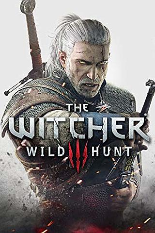 the witcher : Wild Hunt