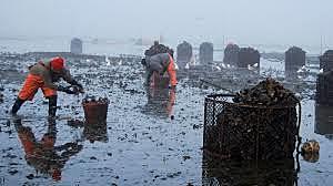 Burning fossil fuels