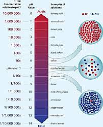 Dissolved Carbon Dioxide decrease pH of the ocean causing acidification