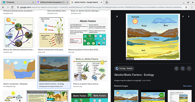 abiotic factors of an ecosystem