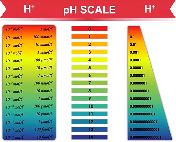 pH Scale