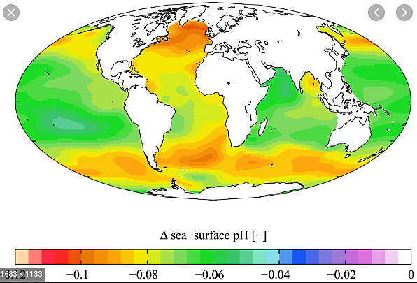 Dissolved Carbon Dioxide decreased pH of the ocean causing acidification