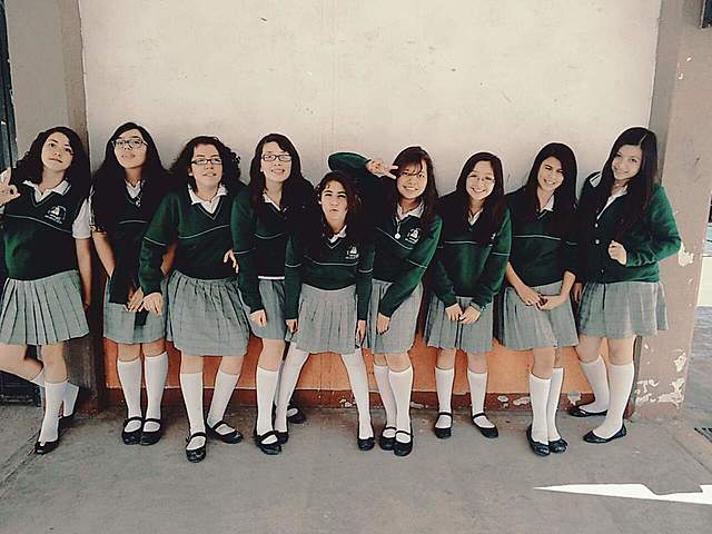 Modelo social e intelectual