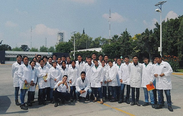 Modelo social e intelectual