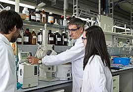 Modelo social, intelectual y laboral