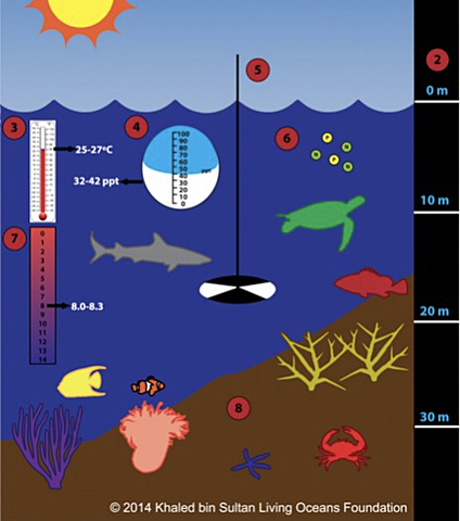 Introduction Abiotic Factors of an Ecosystem
