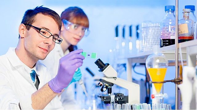 Social, intelectual, laboral