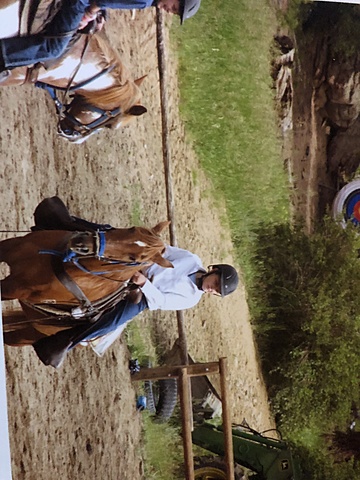 2011 - Fui a las montañas de Colorado sin mi familia