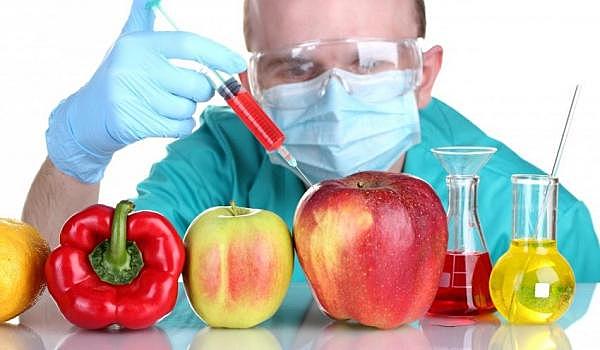 Se generalizan los cultivos de plantas transgénicas.