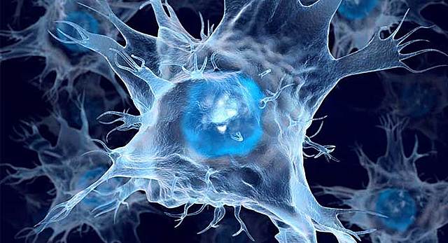 SE DESCUBRE UNA PROTEINA QUE HACE RESISTENCIA A LA INSULINA