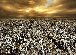 Environmental Problems