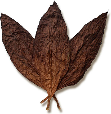 Tobacco planted by Europeans