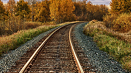 Timeline: Timeline Project