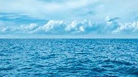 Timeline: Biology Timeline