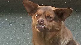 Timeline: La historia de mi vida.