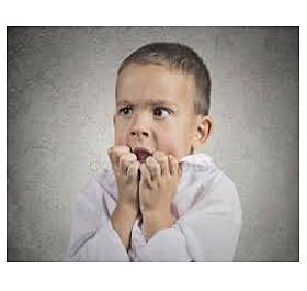 Experiencia de Evaluación Ed. Primaria