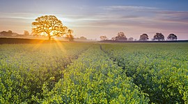 Timeline: Timeline project