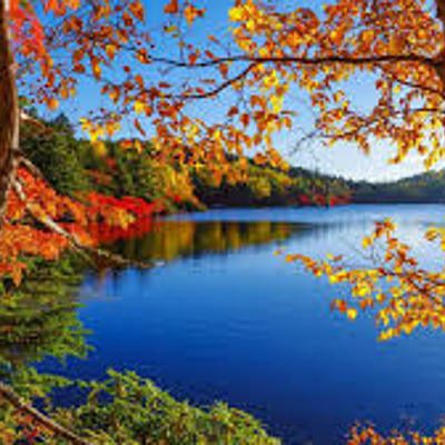 Timeline: Turn of the Century Timeline Project