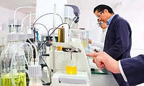 social intelectual y laboral