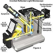 Robert Hooke makes reflective microscope