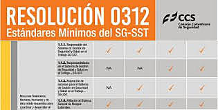 Resolucion 0312 de 2019