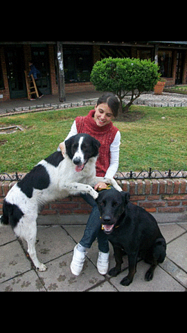 Mi primera adopción mascotera