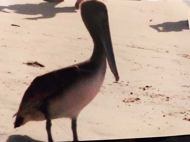 Primer viaje familiar