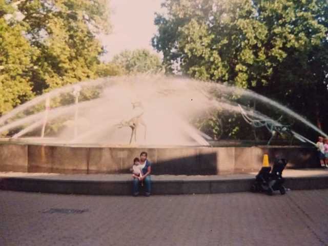 Segundo viaje familiar