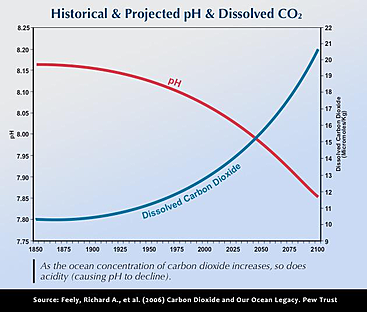 Dissolved Carbon Dioxide decreasing pH of the ocean and Causing Acidification