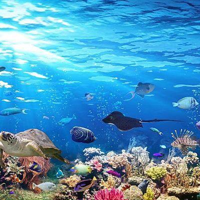 Timeline: Ocean Trends