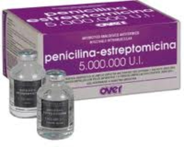 penisilina antibiotica