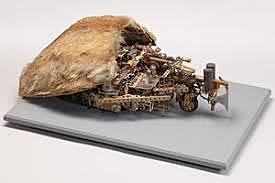 Le renard de Ducrocq