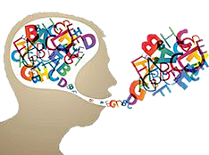 English, Chinese, Spanish IB Official Langauge