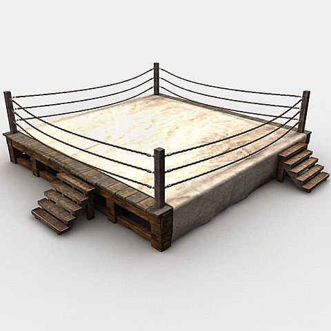 The Boxing Ring