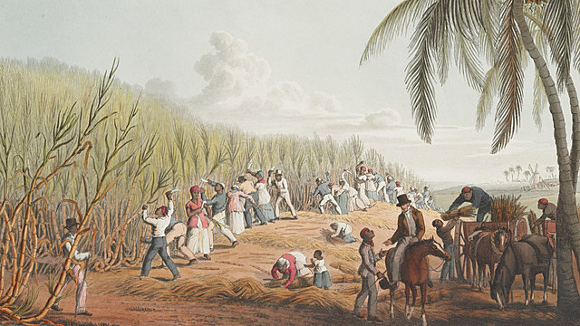 The English arrive in the Caribbean