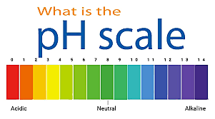 Dissolved CO2 + Decreasing pH Levels