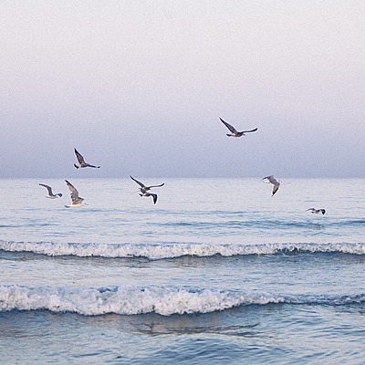 Timeline: Trends in the Ocean