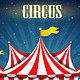 Borde circo blanco 1308 28544