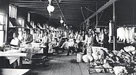 Timeline: Progressive Timeline Test