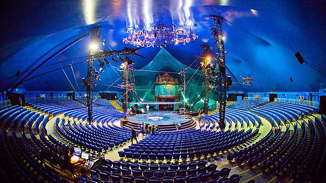 Anillos y Plataformas